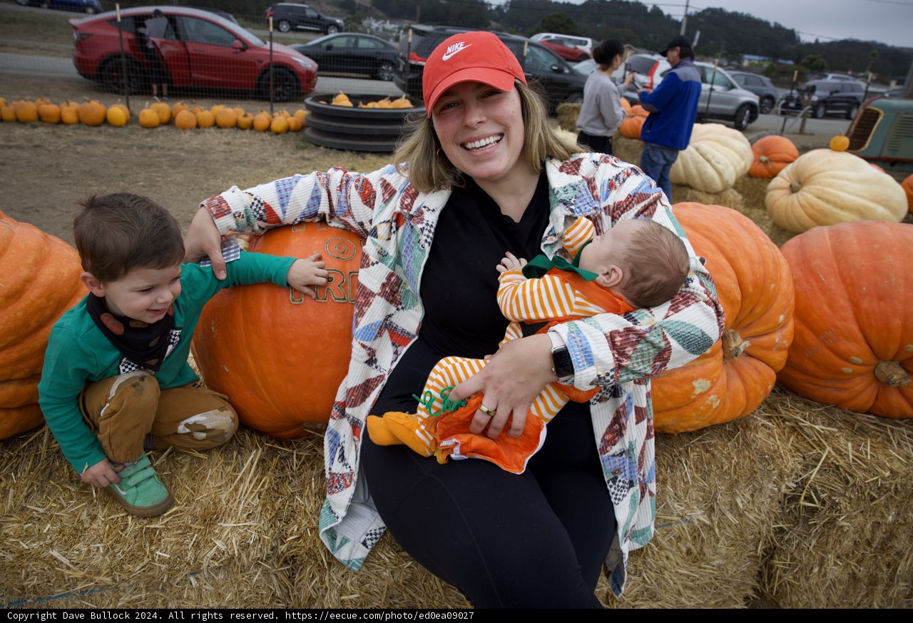 Harvest Smiles