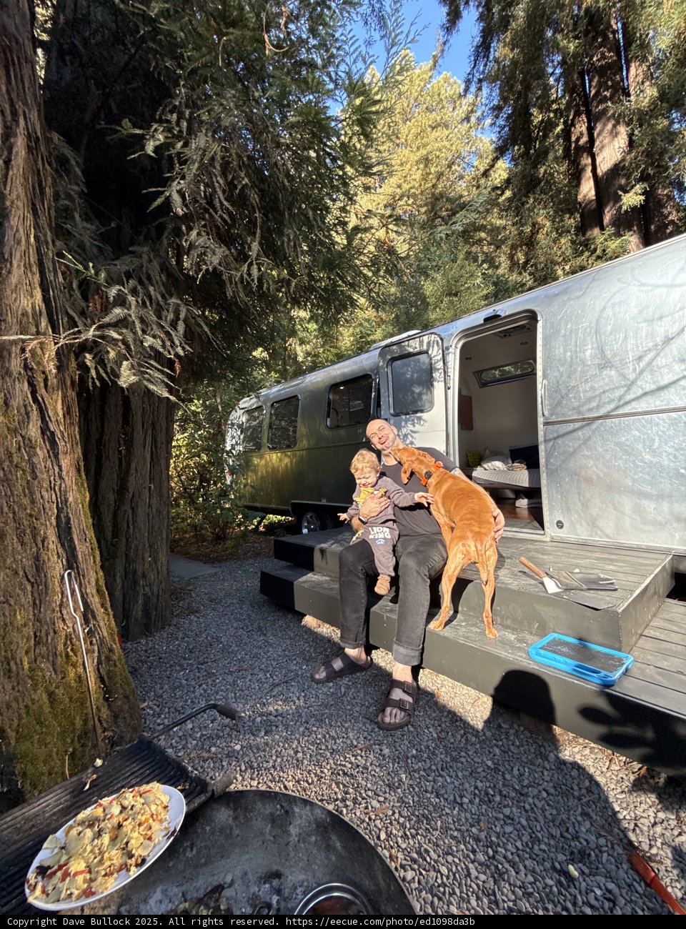 Redwoods and Road Trips: A Perfect Day in Guerneville