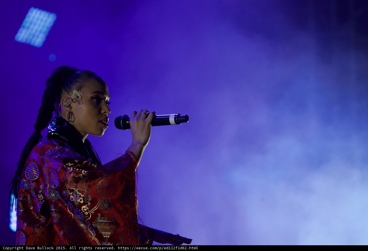 FKA twigs Profile Portrait Singing Baby Hairs Hoop Earrings Septum Ring Red Lipstick Black Choker Braided Ponytails Kimono Gold Chinese Patterns Rings Purple Haze LED Panel