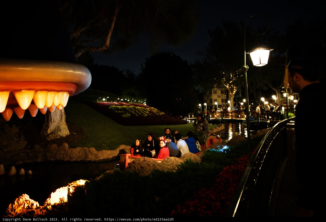 Magical Moments at the Fountain