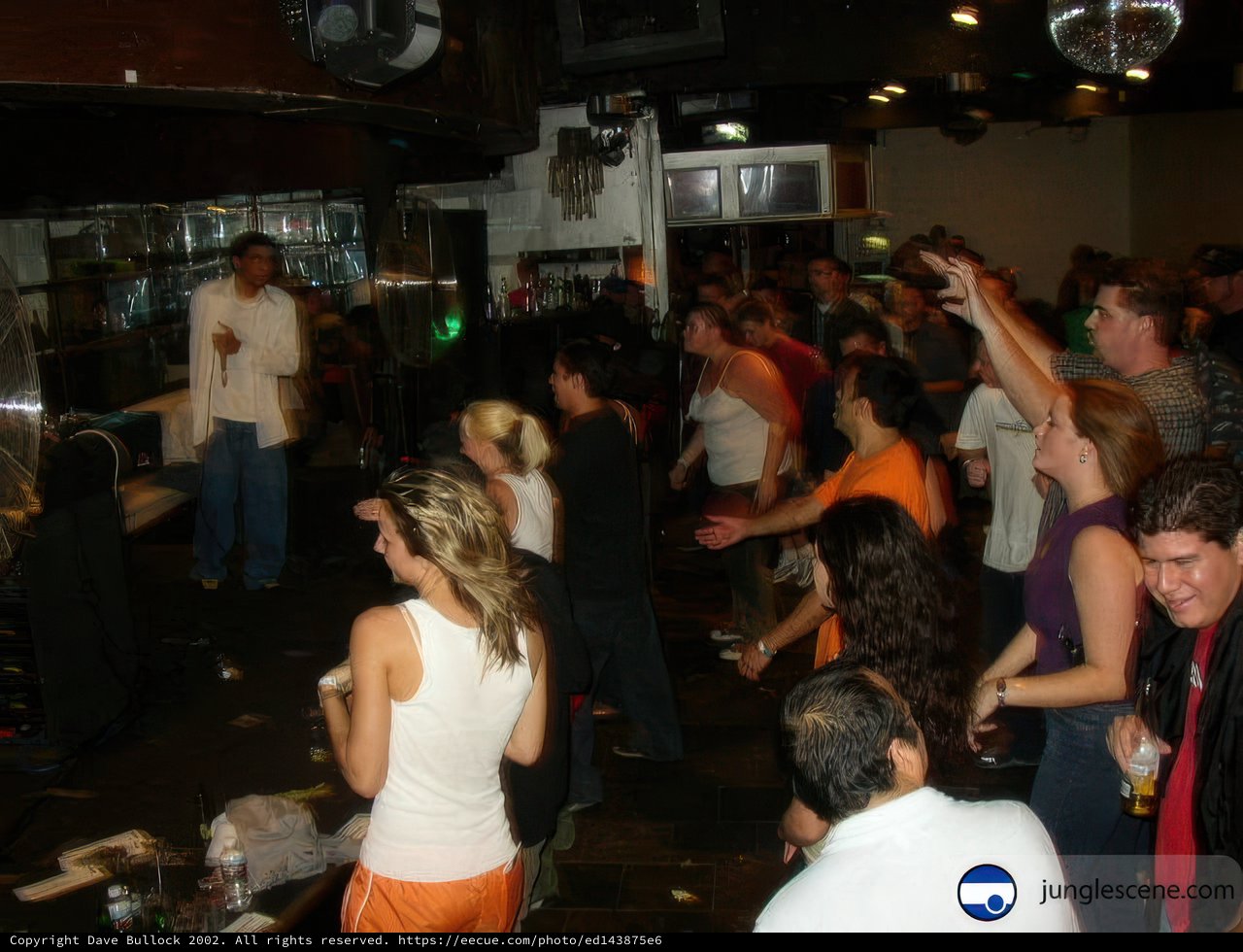 Nightclub Crowd
