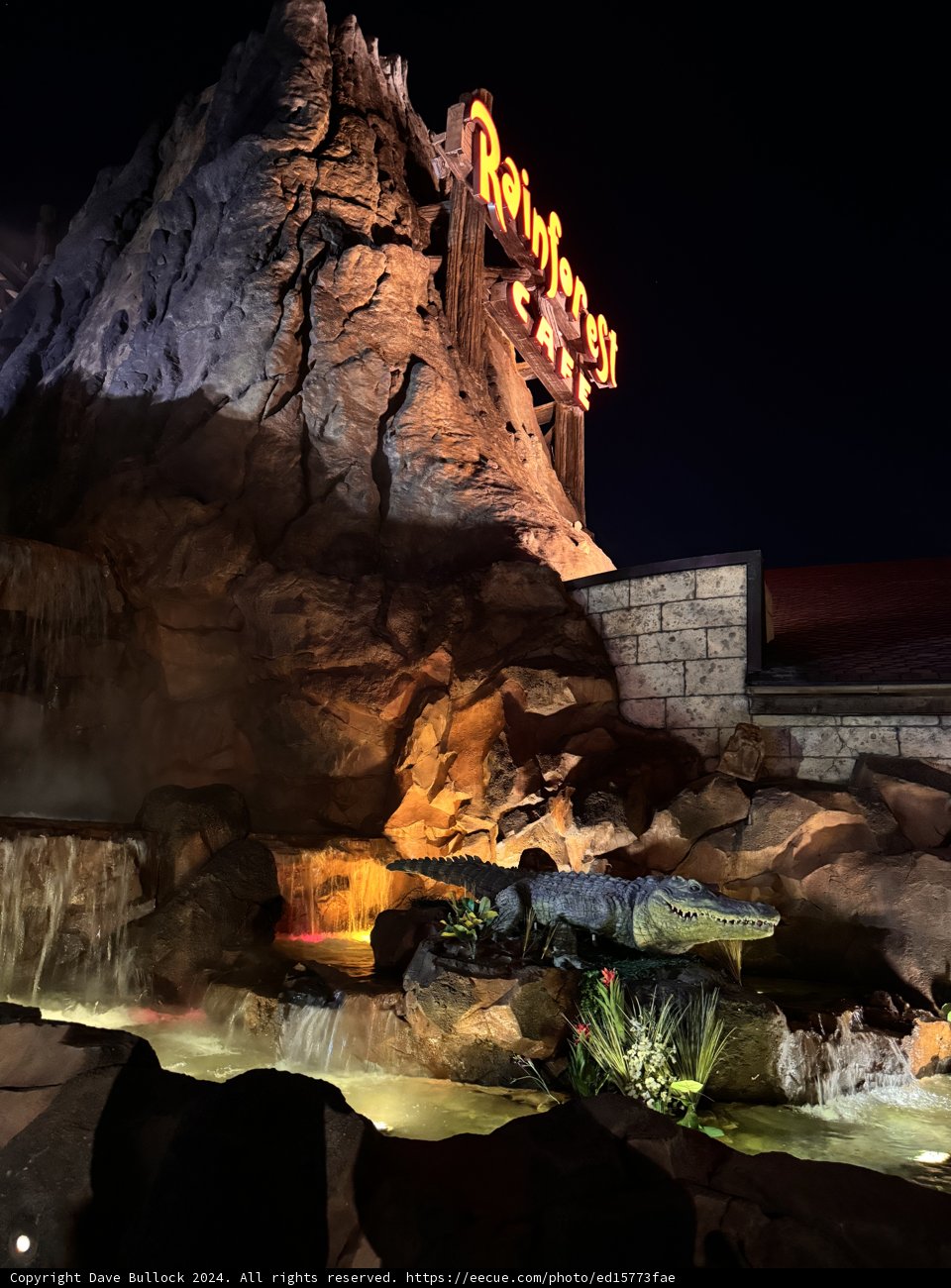 Lizard's Lair: The Night at 'The Rock'