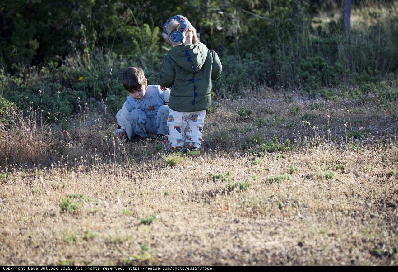 Young Explorers Discovering Nature at Mount Diablo