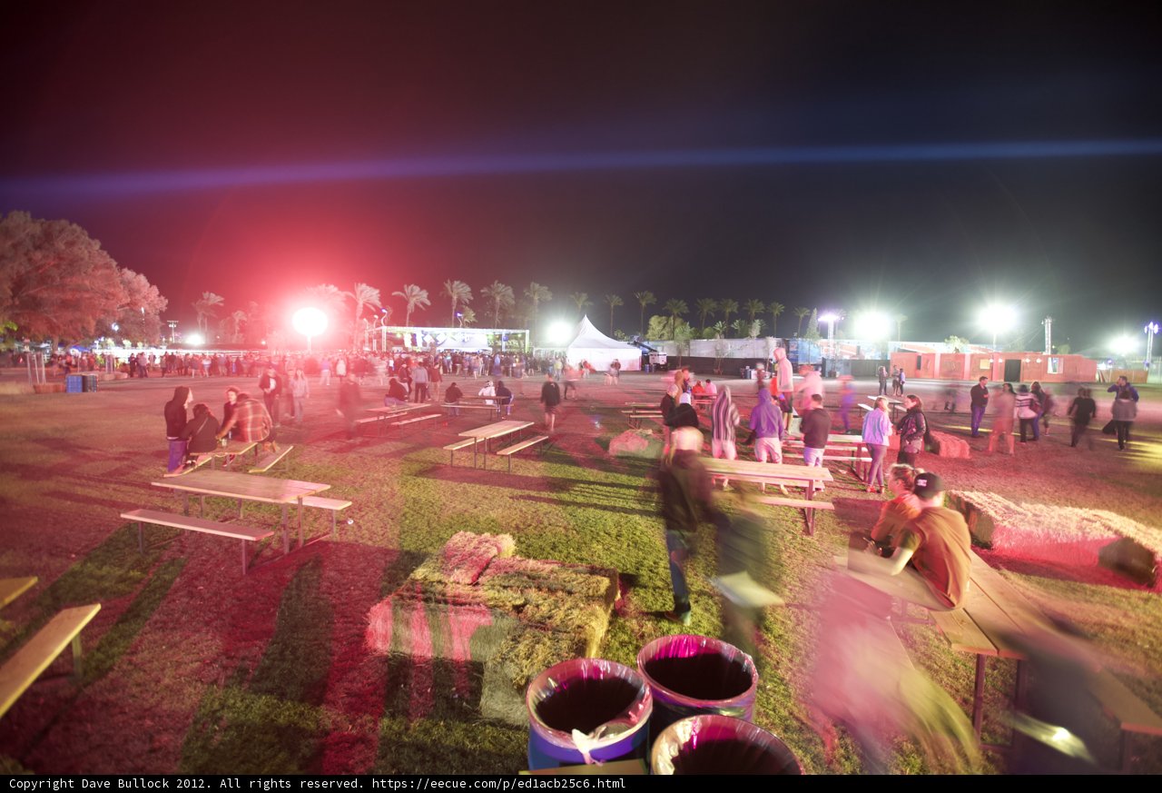 Nighttime Gathering on a Grassy Field