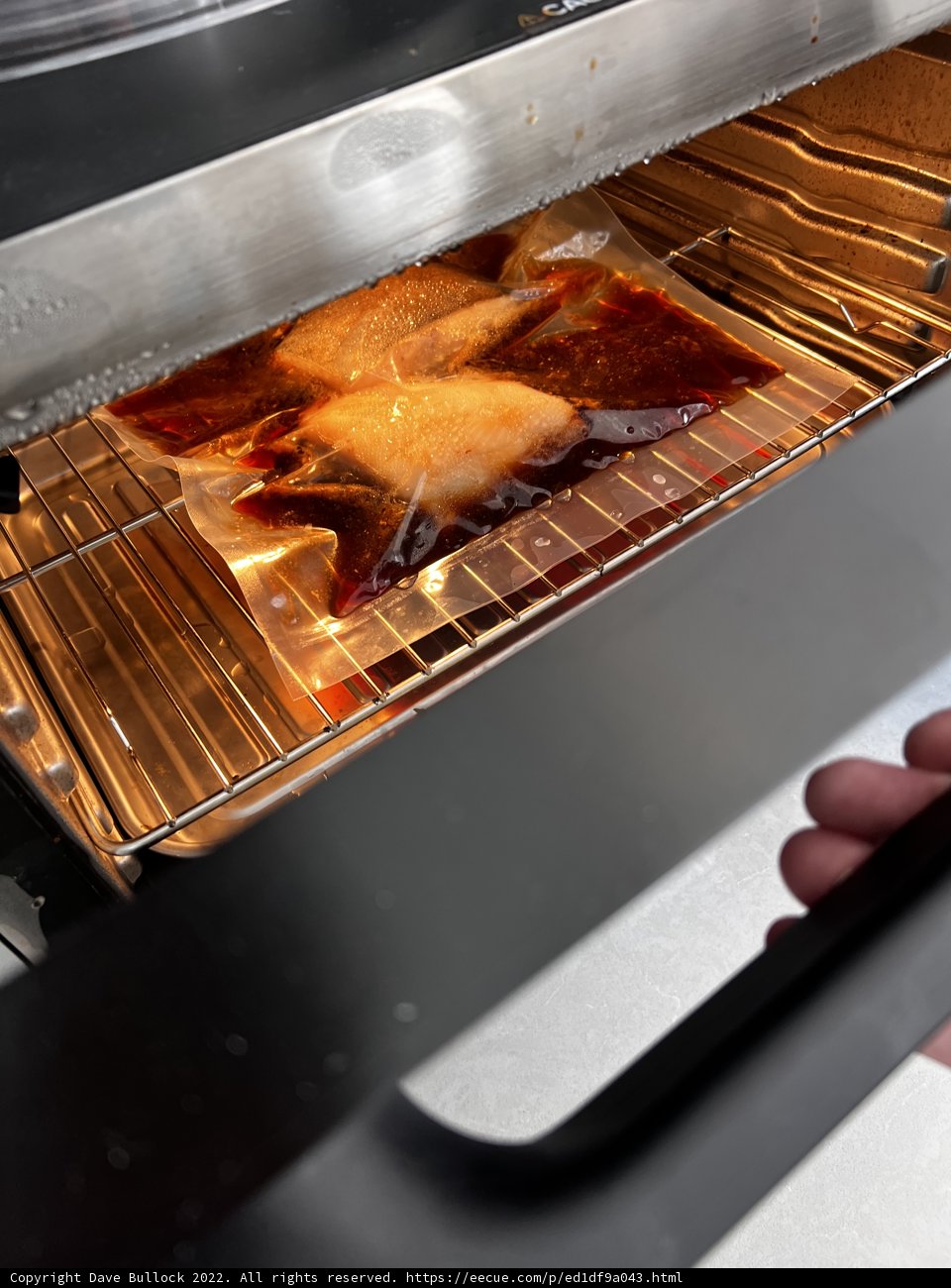 Mastering the Art of Cooking with the Oven