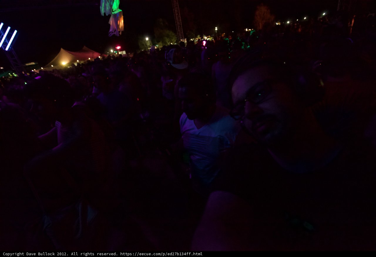 Music Festival Selfie