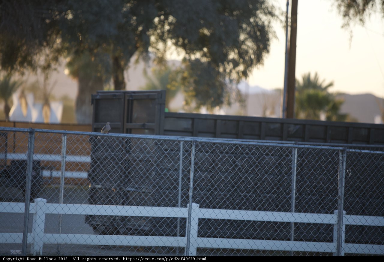 Skating Along Behind the Fence