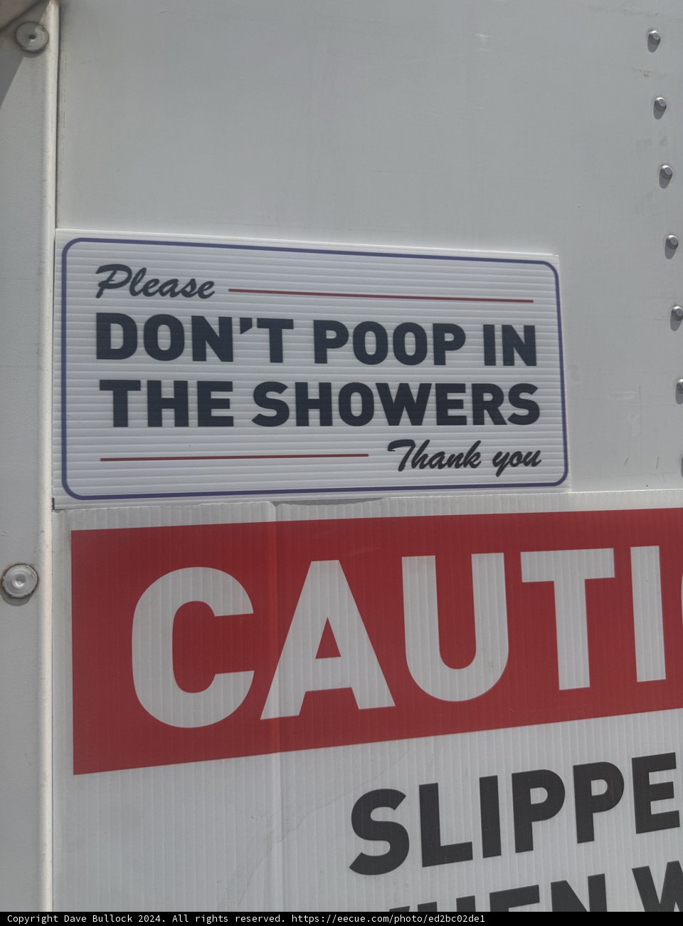 Quirky Festival Reminder