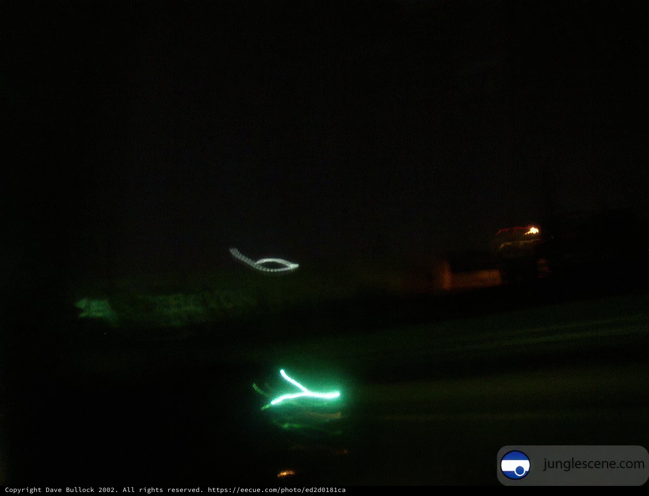 Nighttime Drive
