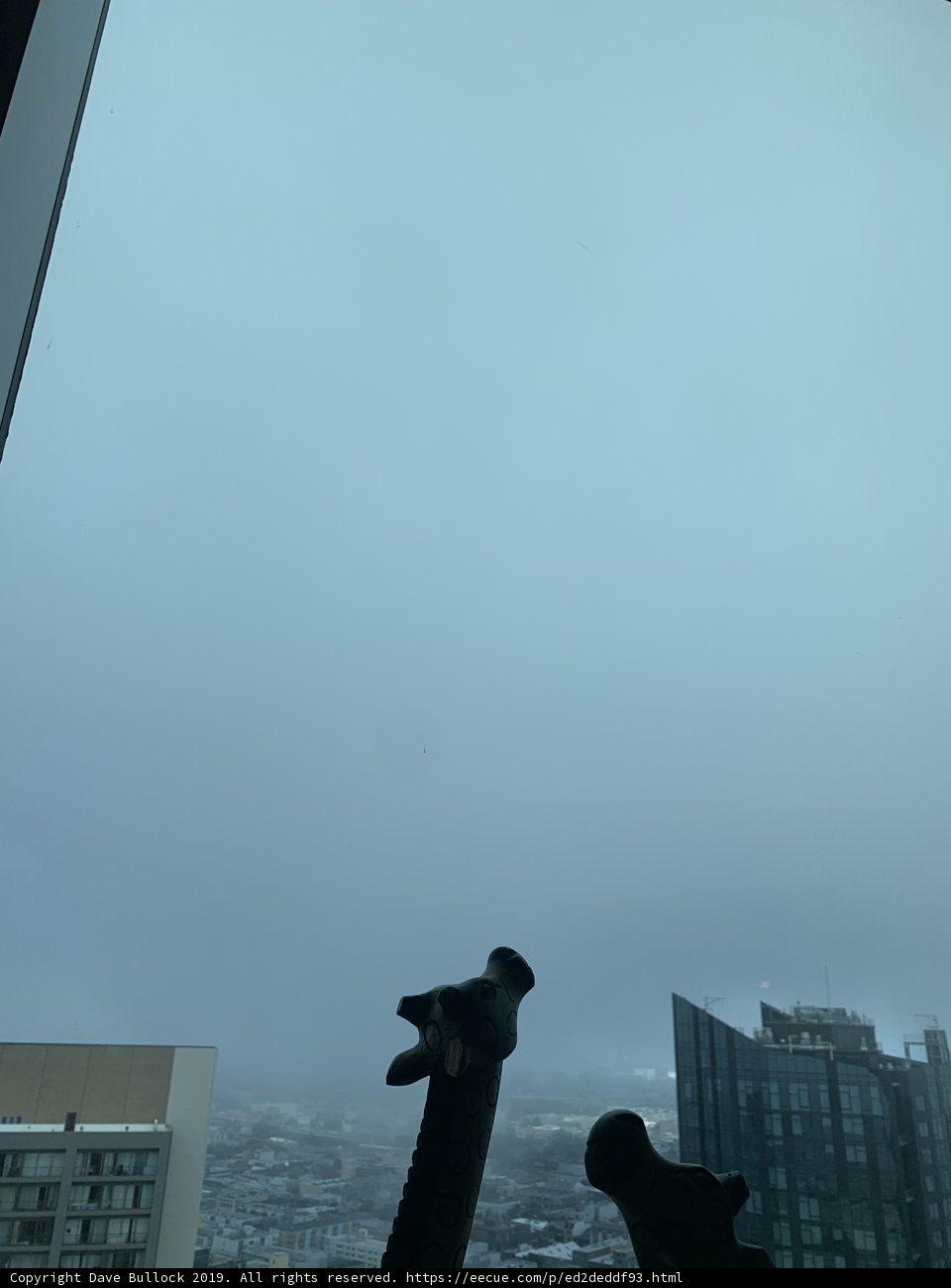 Giraffe overlooking the metropolis