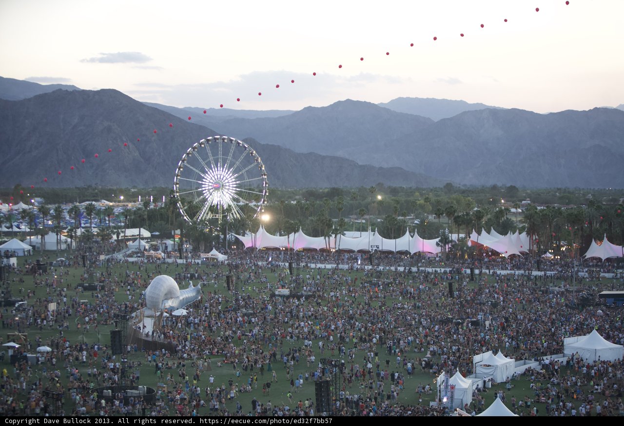 Festival Frenzy