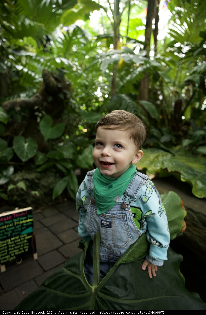 Sprouting Smiles in the Heart of Nature