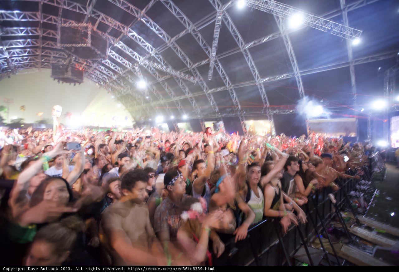Coachella Crowd Goes Wild