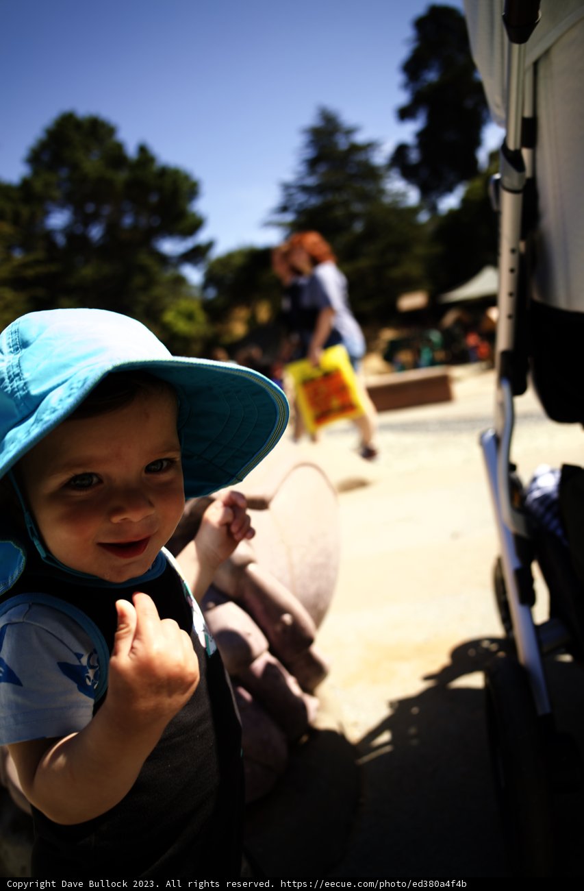 Summer Sunshine at Golden Gate Park