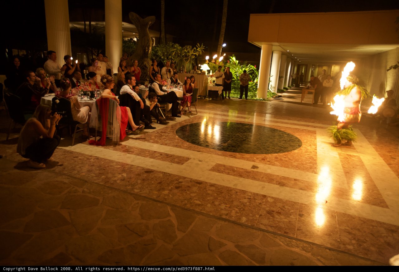 A Wedding Under the Stars