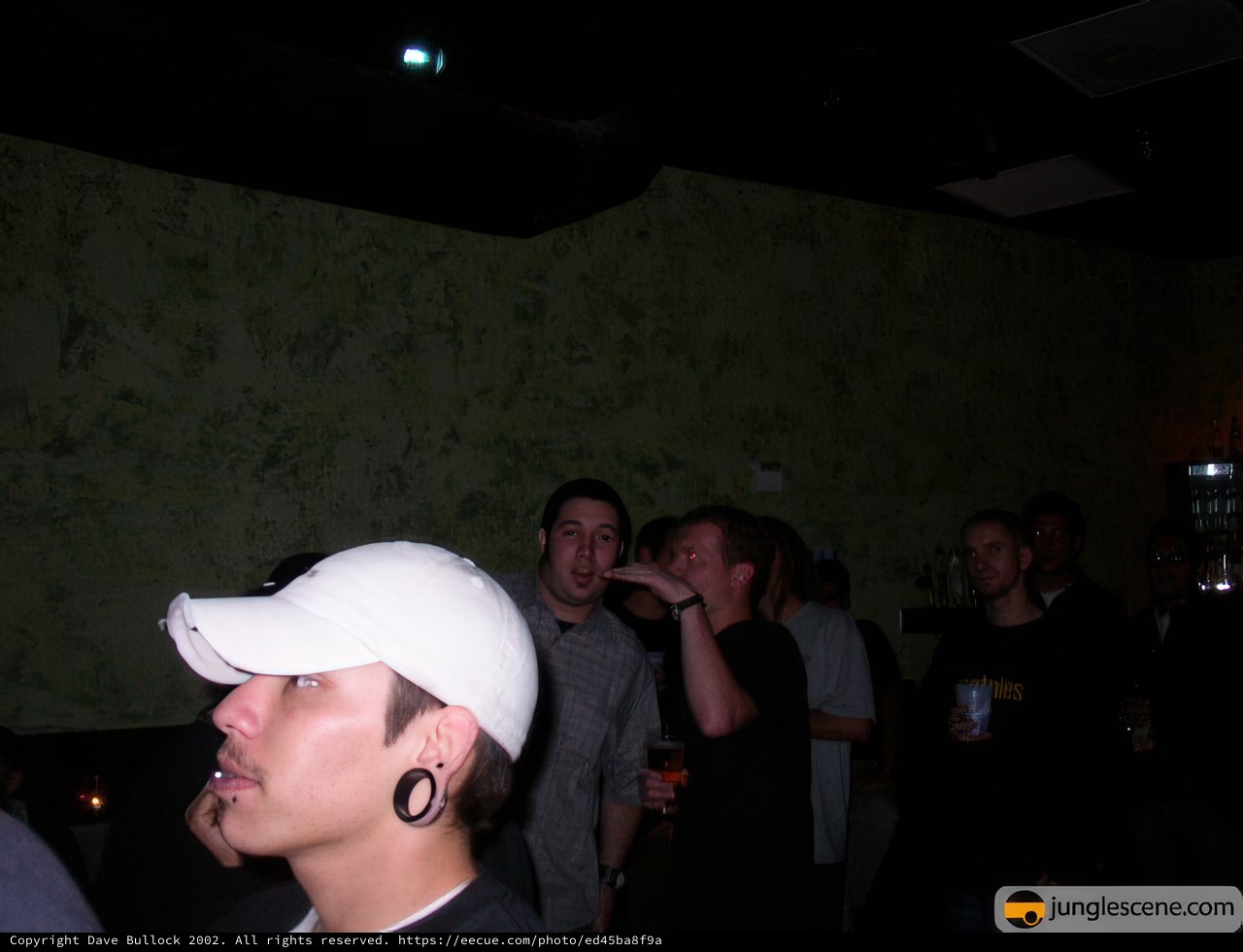 Nightclub Gathering