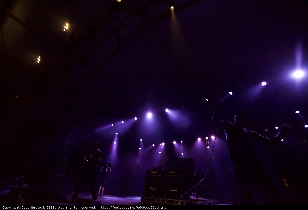 Purple Lighted Performance