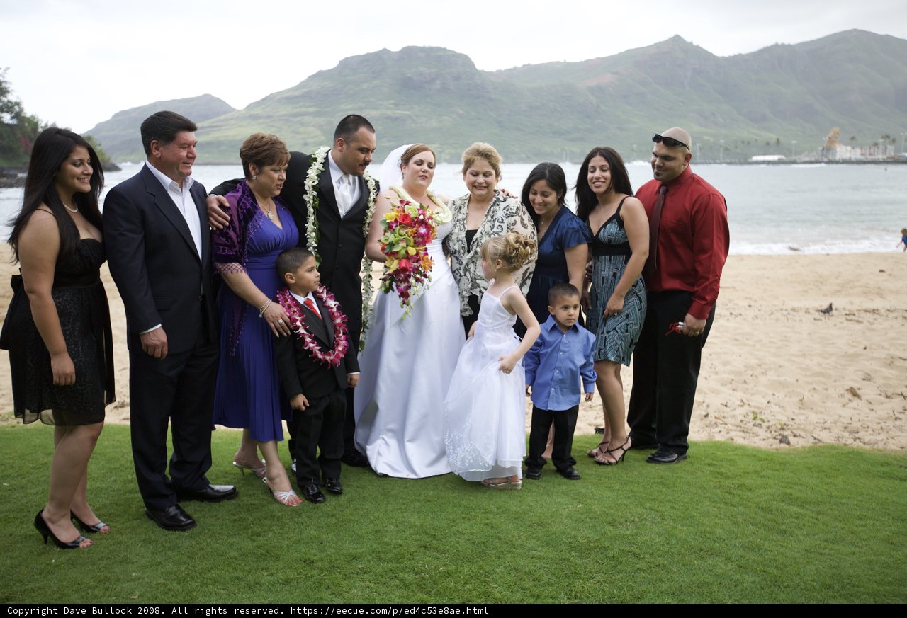 Wedding Party on the Beach