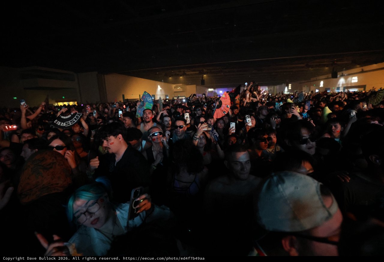 Massive Crowd Surges at Wobbleland 2026 Festival