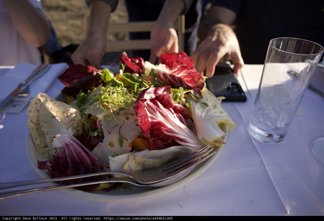 Magical Brunch Moments at Hog Island Oyster Co.