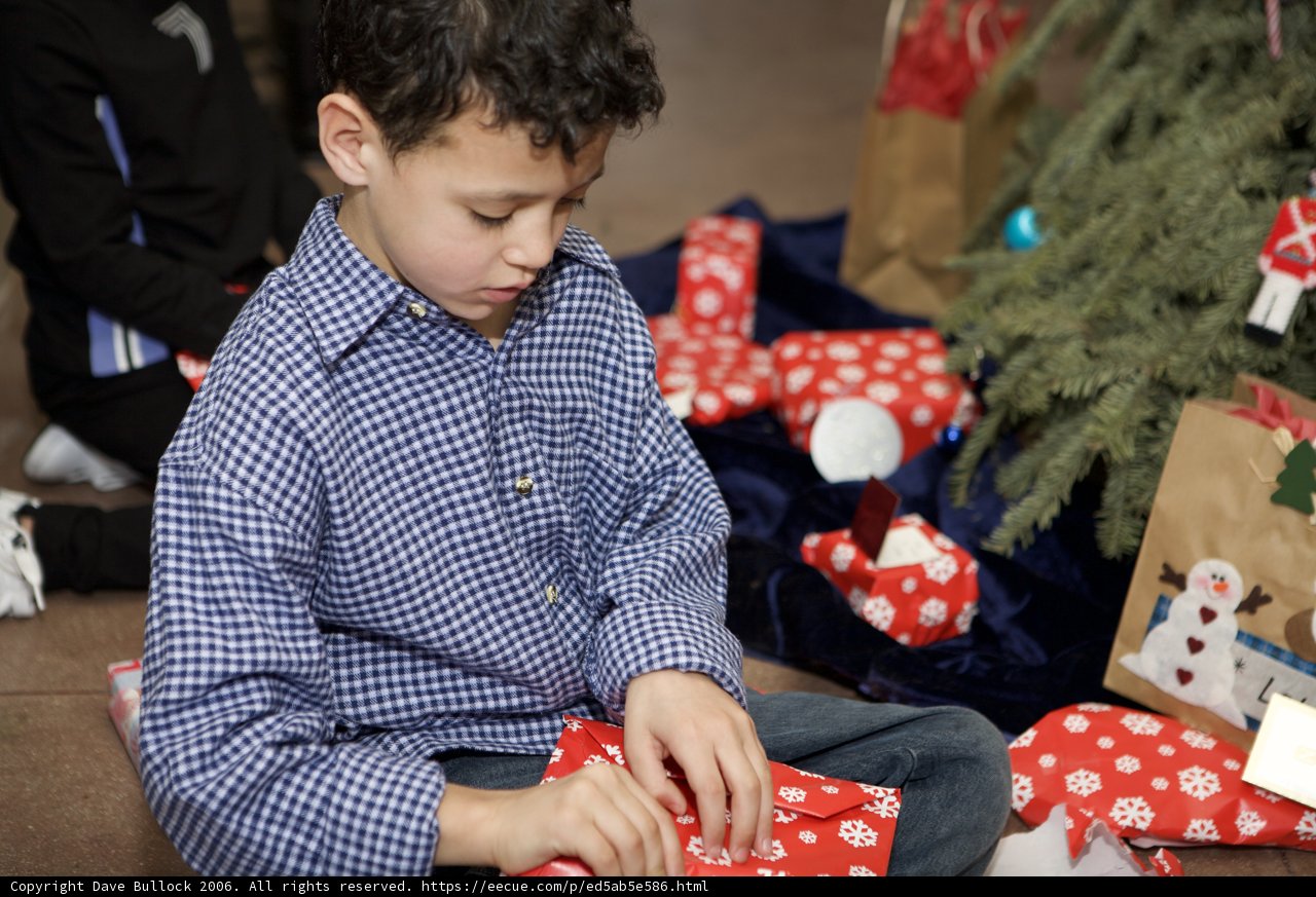 Christmas Joy