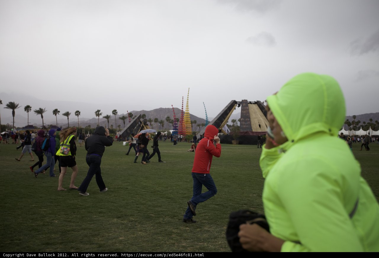Walking Through the Grass