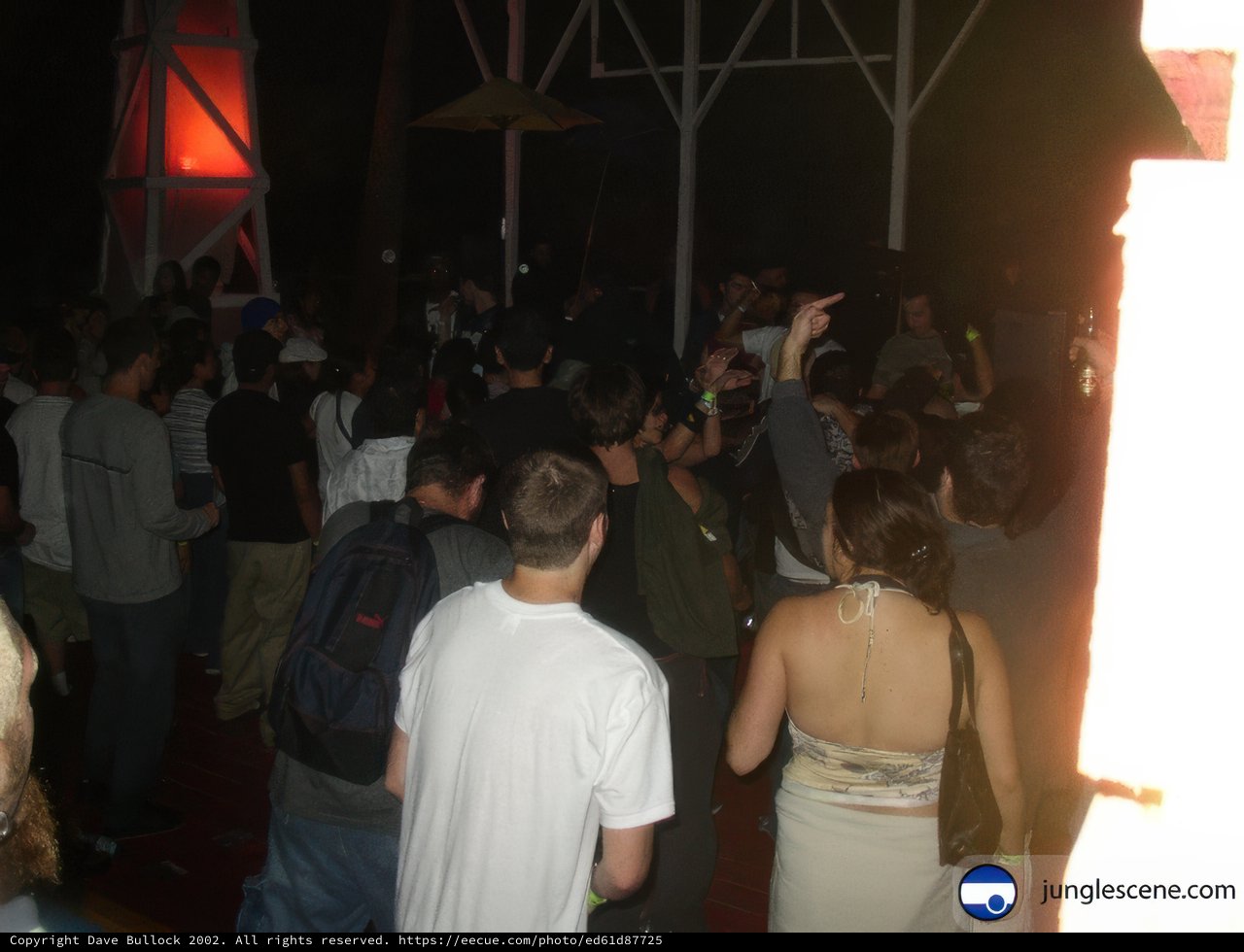 Night Club Crowd in Ensenada