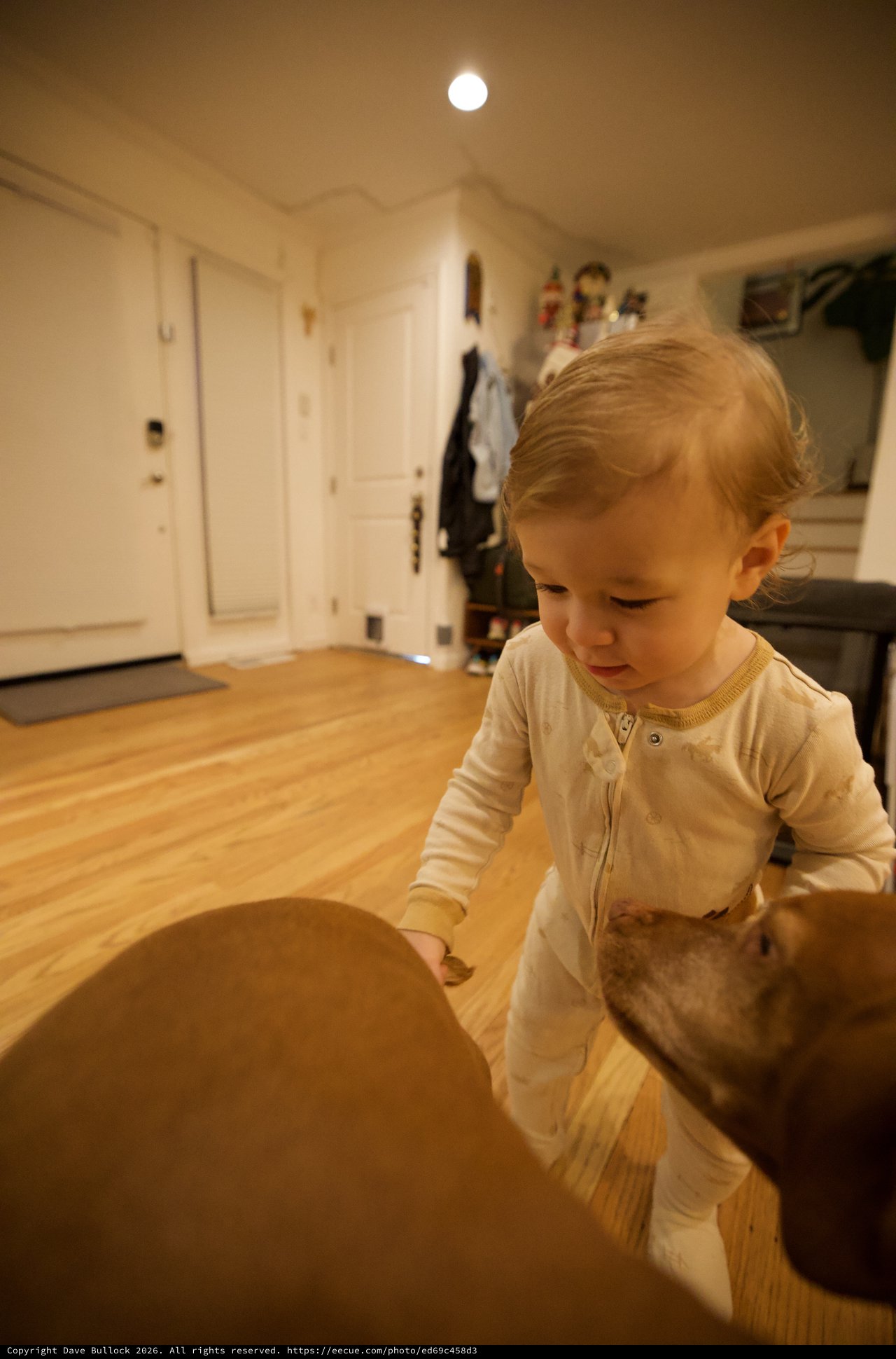 Toddler Exploring Round Wooden Table at Home