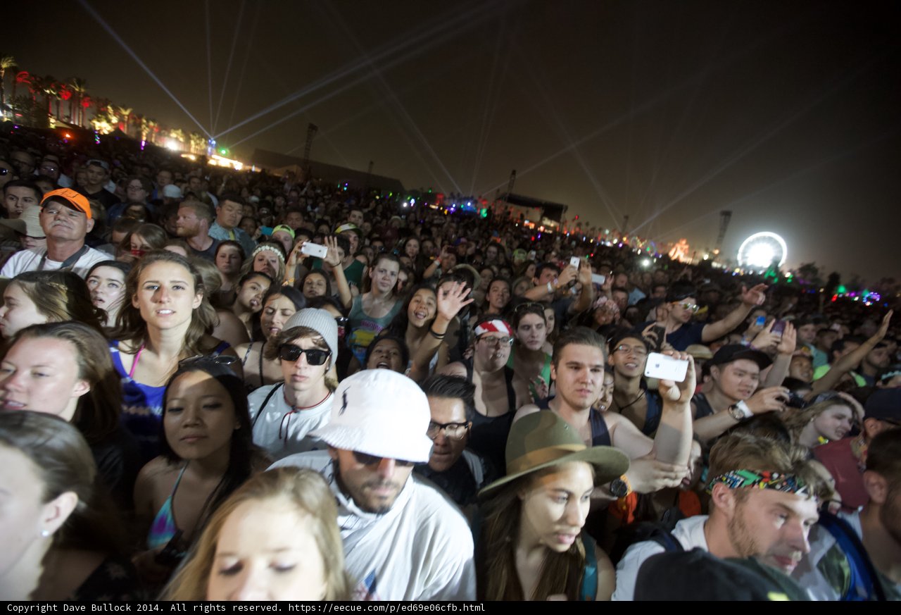 Electric Crowd at Coachella 2014