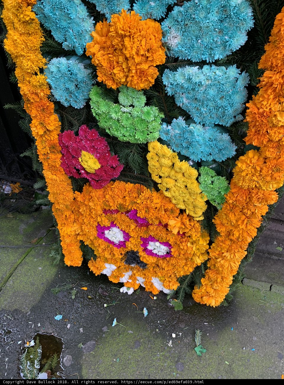 Vibrant Floral Design