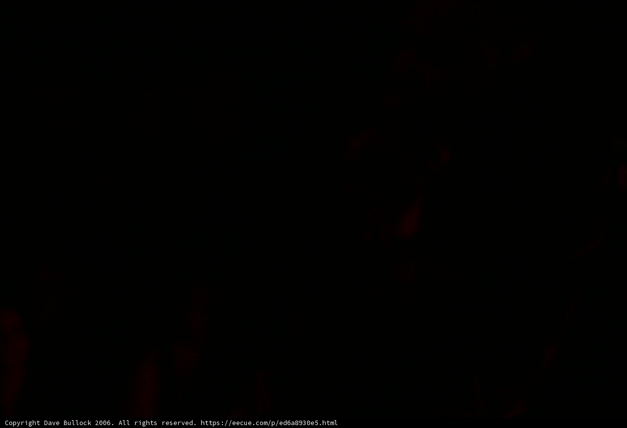Nighttime Silhouette