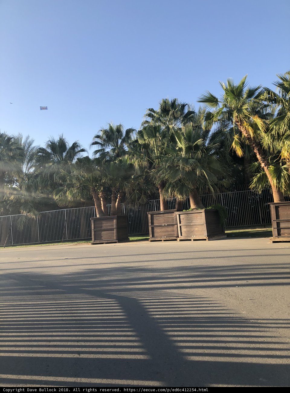 Skateboarding in the Summer Sun