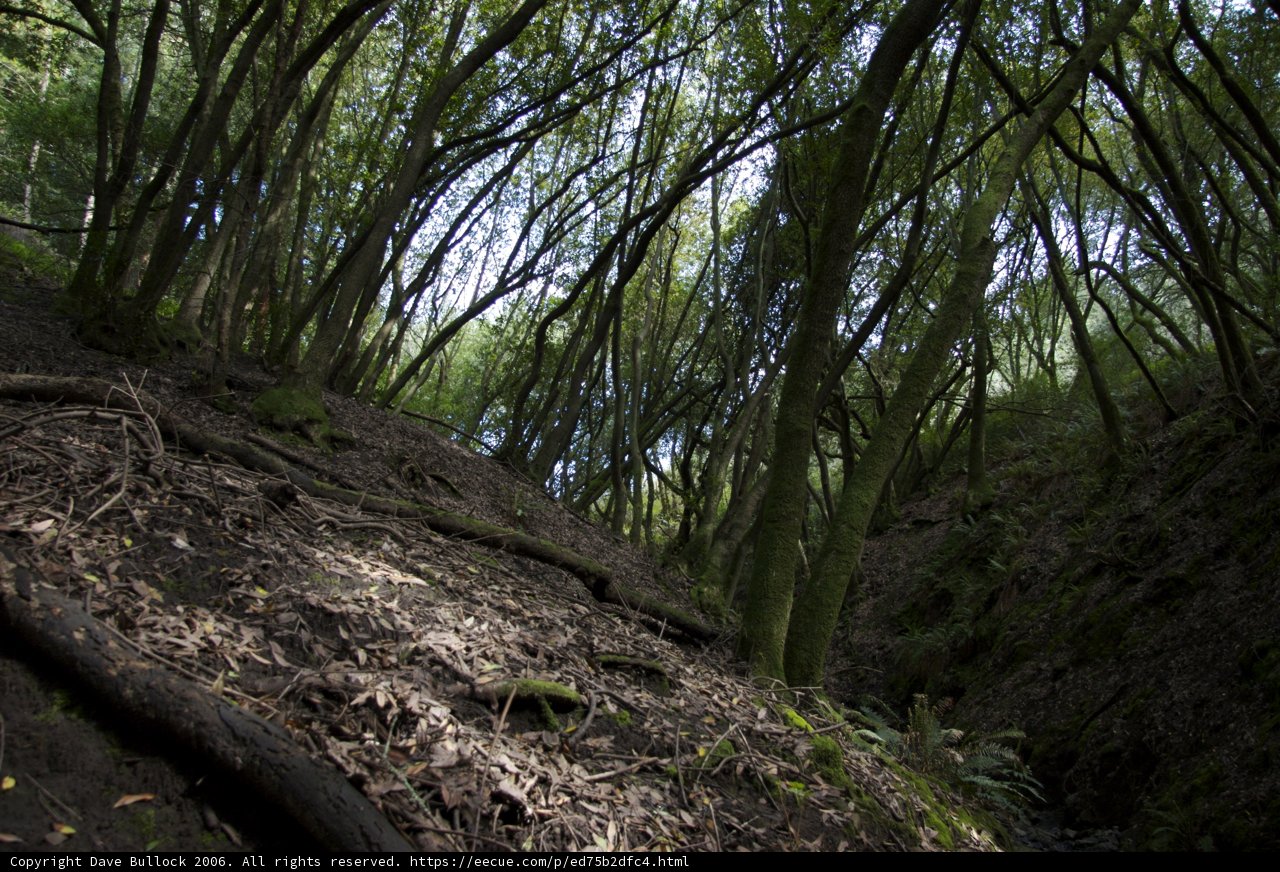 Into the Wilderness