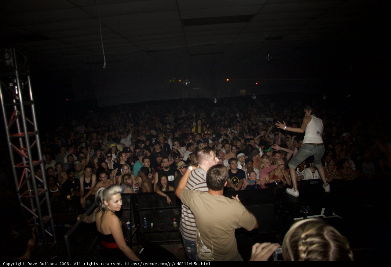 Rockin' with the Crowd