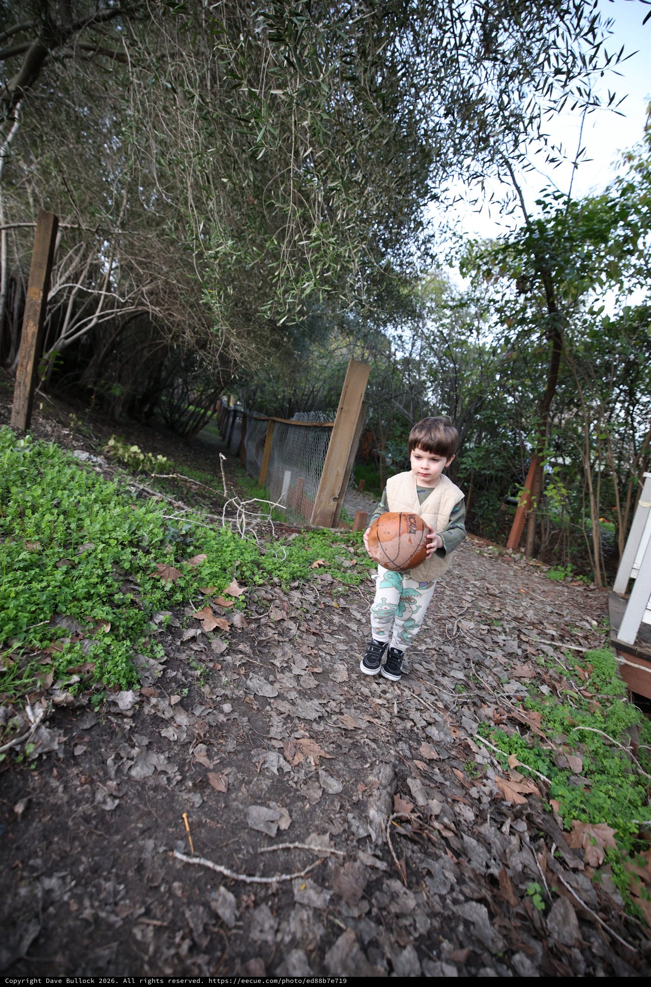 Young Child Carrying Basketball on Garden Path
