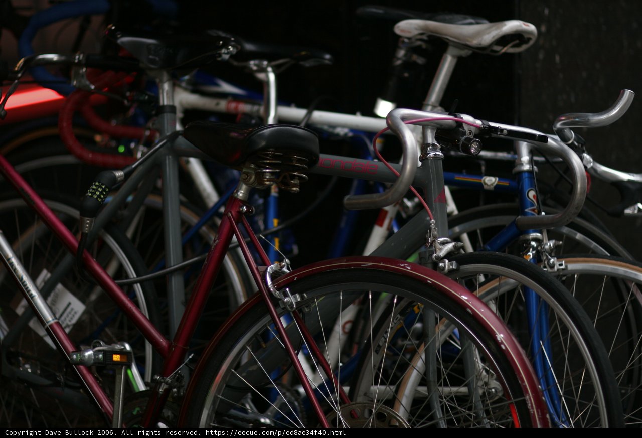 A Group of Parked Bicycles