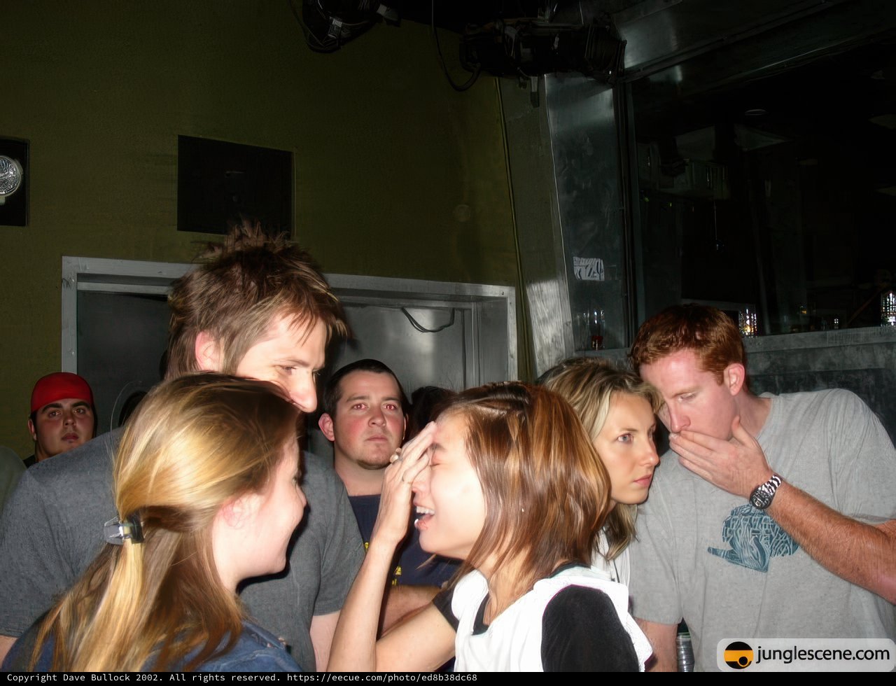 Nightclub Crowd
