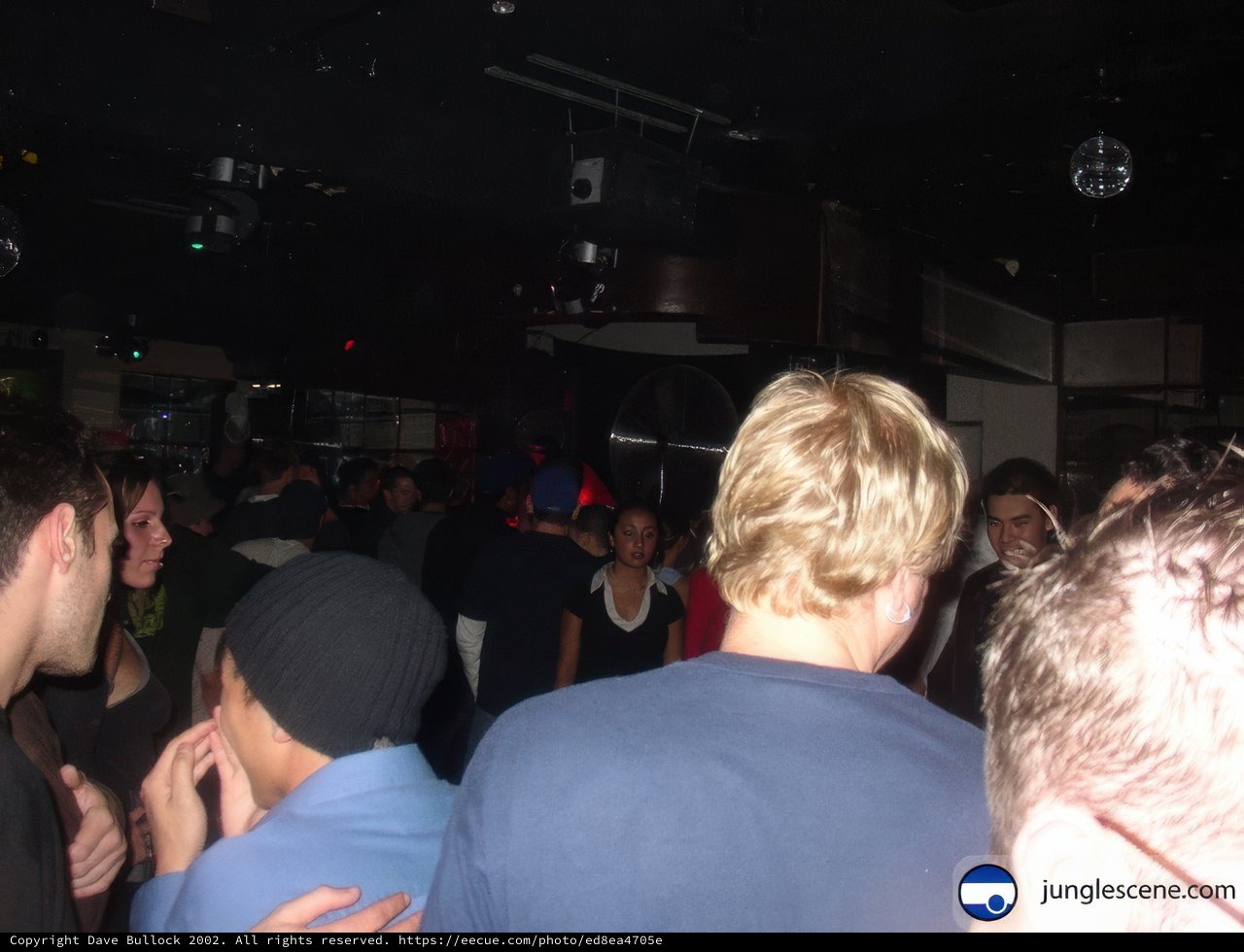 Disco Fever at the Nightclub
