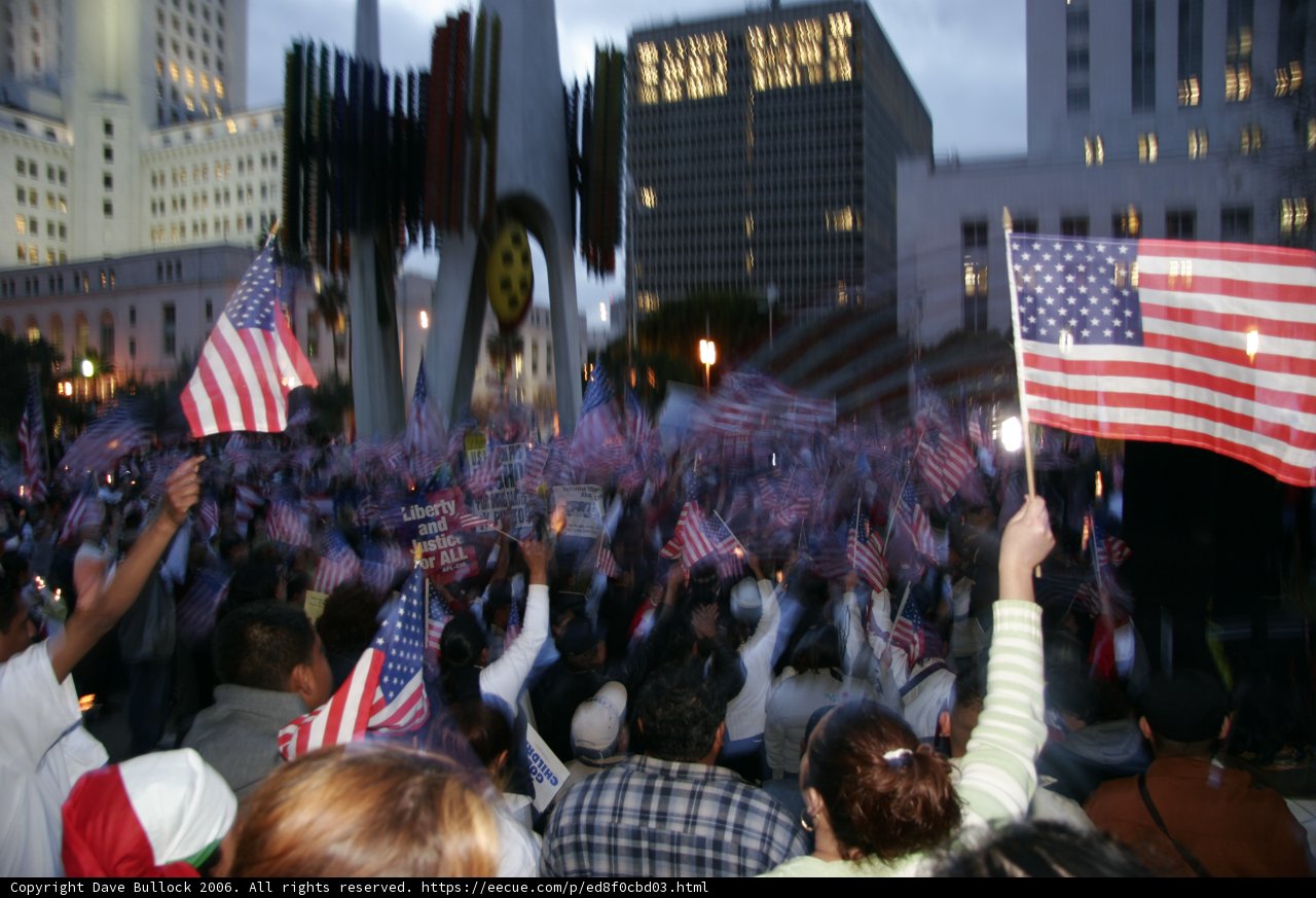 Patriotic Crowd in the Heart of Metropolis
