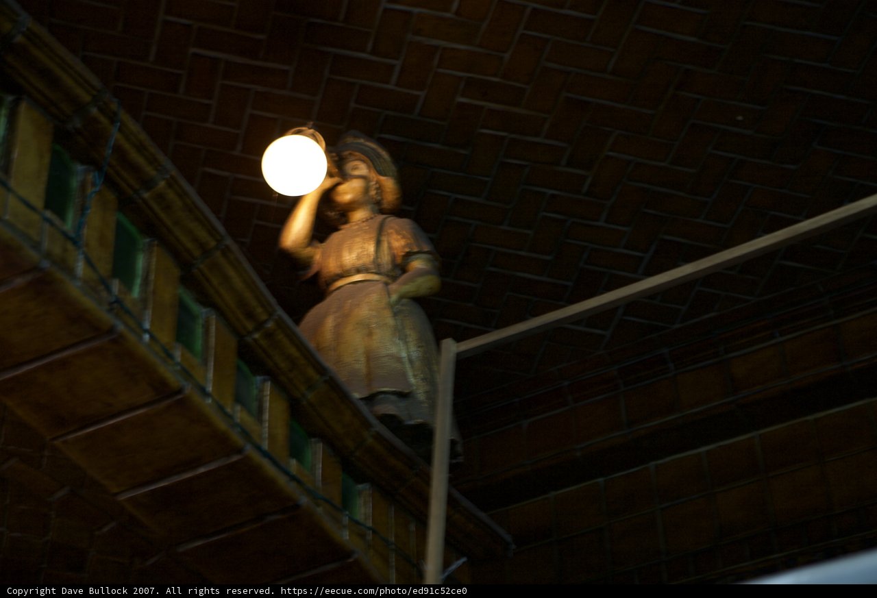 The Illuminated Guardian