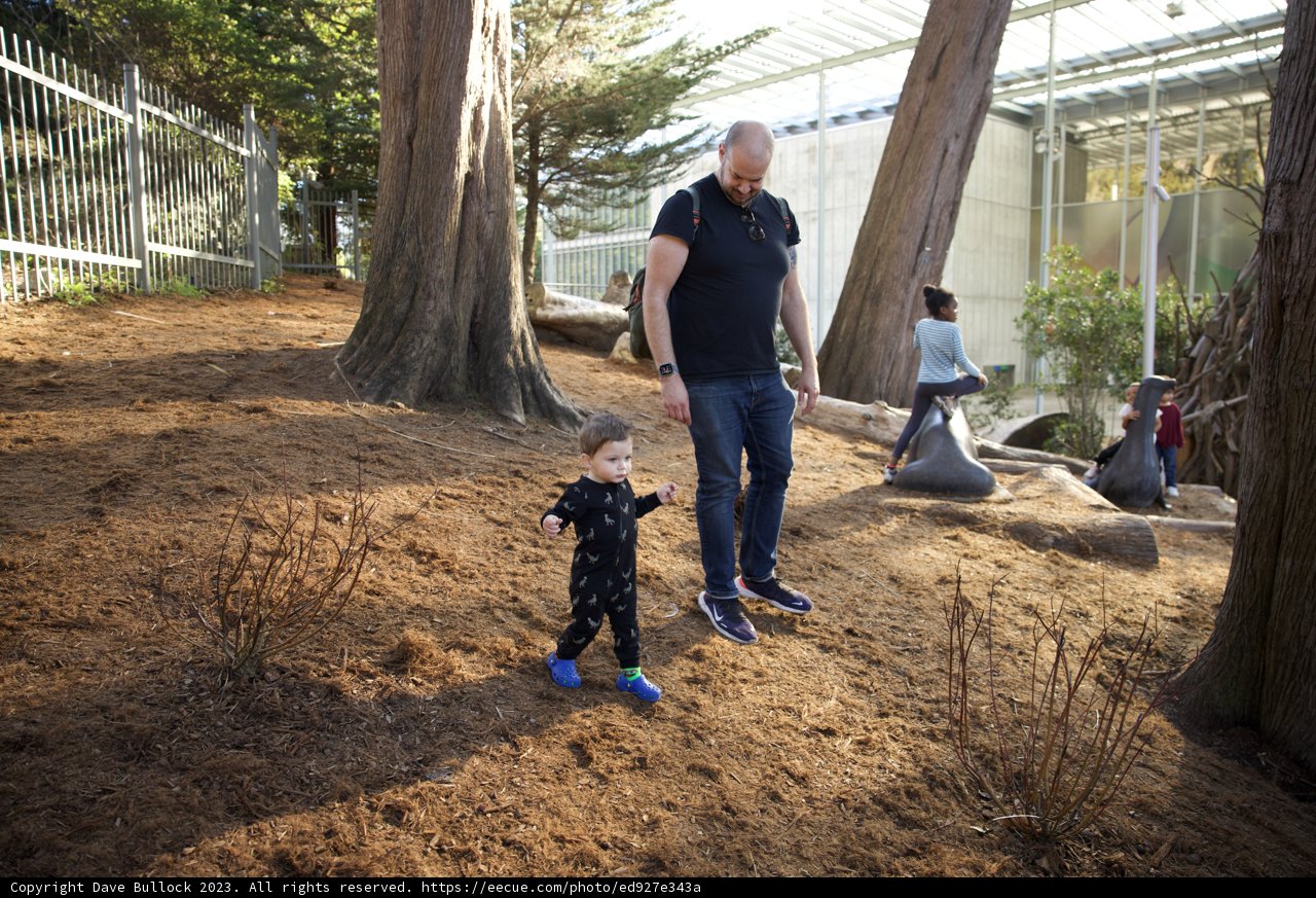 Memorable Stroll: A Man and a Child in Nature's Embrace
