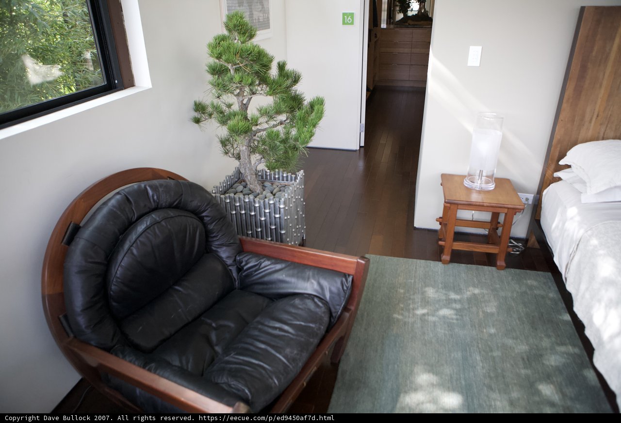 Black Leather Armchair with Potted Plant by the Window