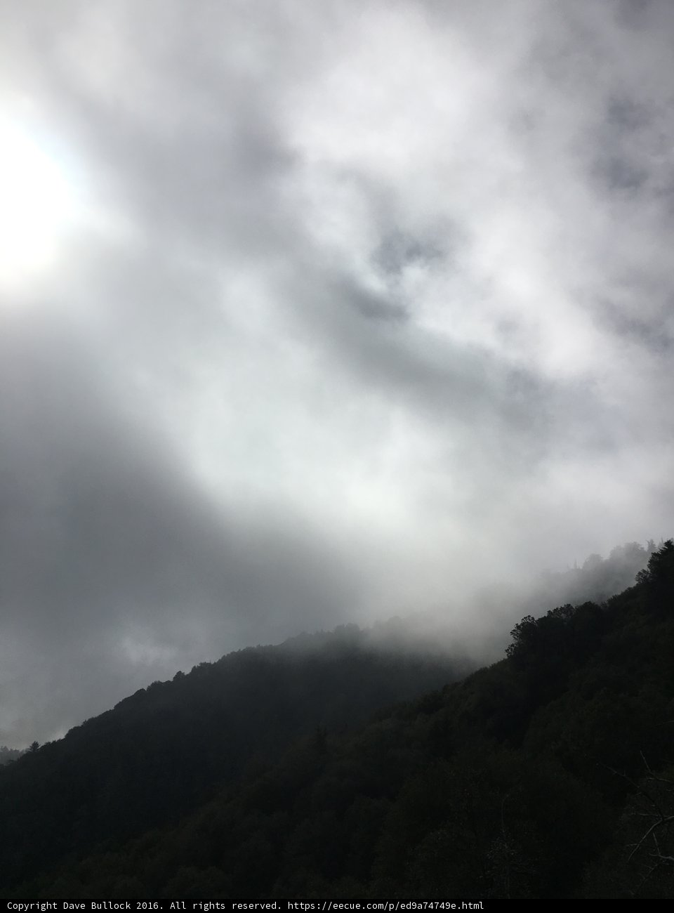 Mountain Bliss