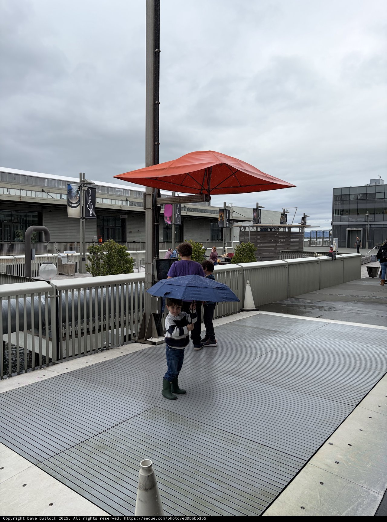 Child with Umbrella on Rainy Rooftop Terrace