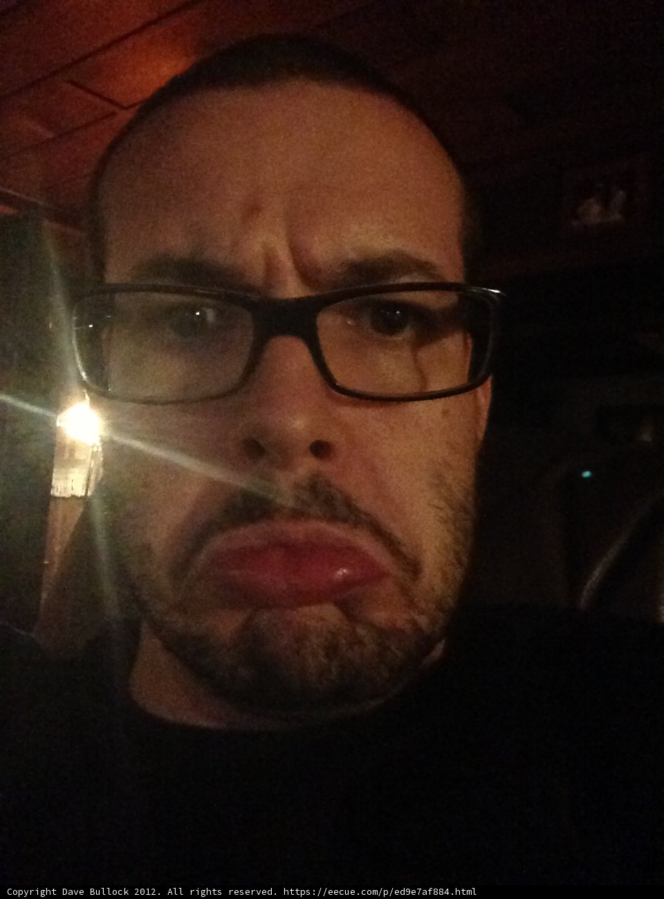Bearded and Bespectacled