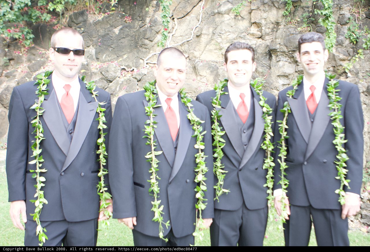 Four Men in Suits Posed Among Flower Arrangements