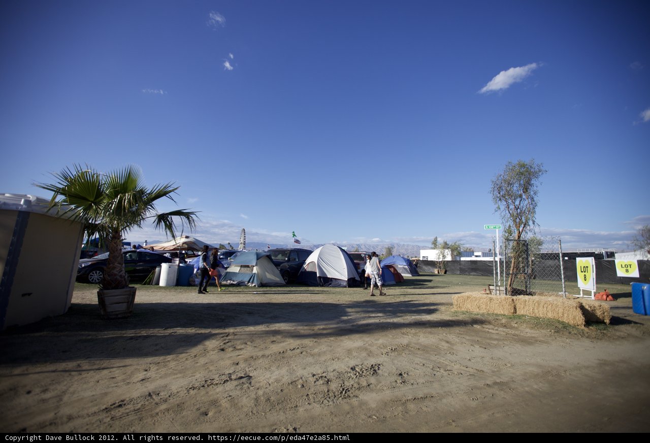 Camping Under the Palm Tree