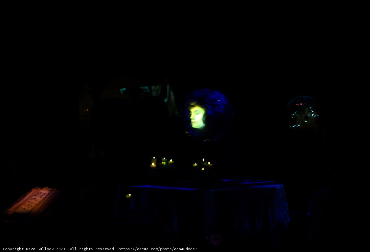 Enchanting Night at Disneyland