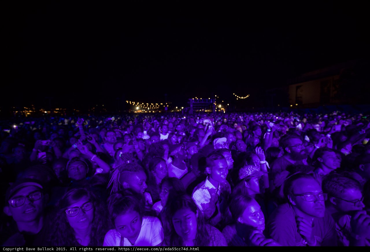 Crowd Purple Light Glasses Woman Foreground