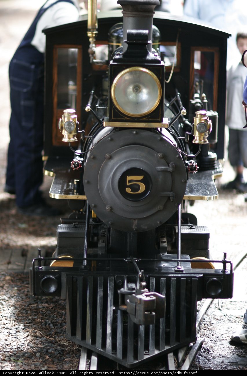 Locomotive ride with family